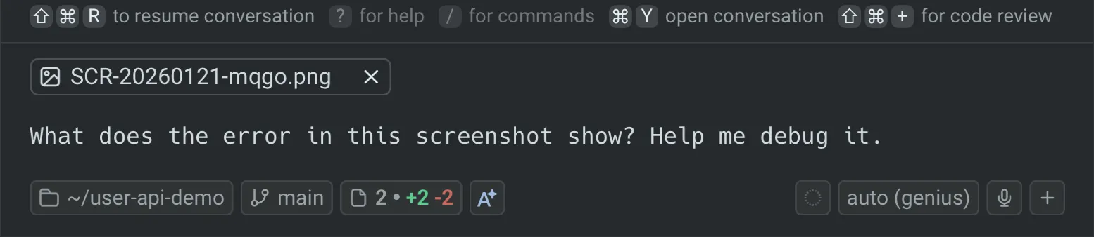Image attached as context in the Warp input area alongside a text prompt